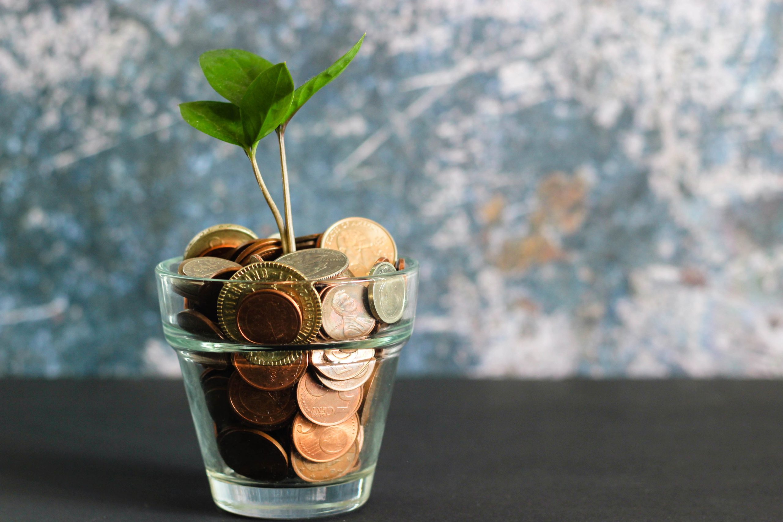 10 Tipps, um Geld bei Deiner Hochzeit zu sparen
